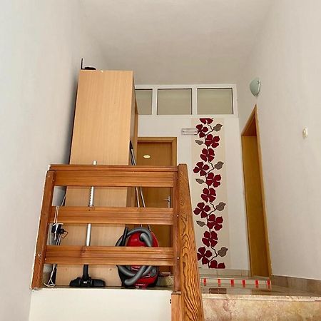 Apartments Tiho & Jelena Blace Ngoại thất bức ảnh